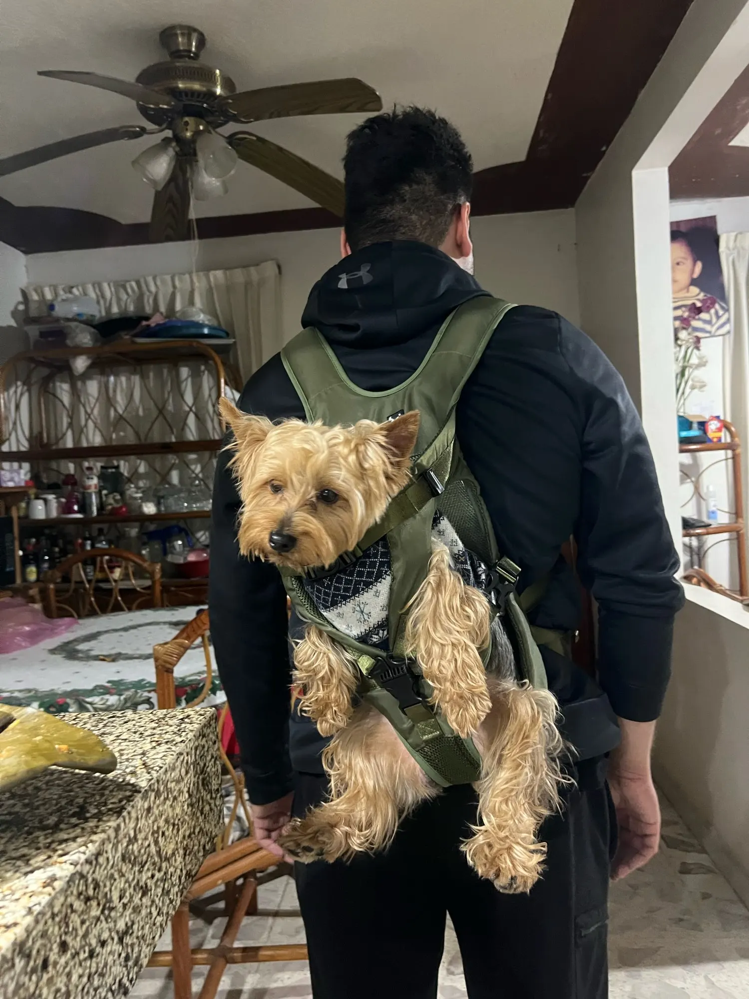 Breathable Pet Carrier Backpack photo review