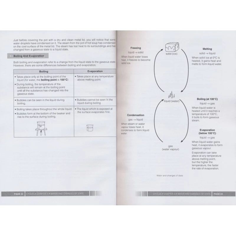 Libro de referencia completo para la escuela primaria, bloque inferior de ciencia, guía de ciencia savia, libro en inglés, 3-6 grados