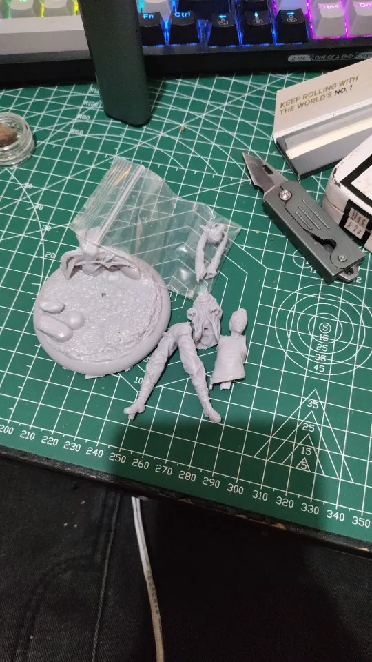 Buyer photo of this resin kit