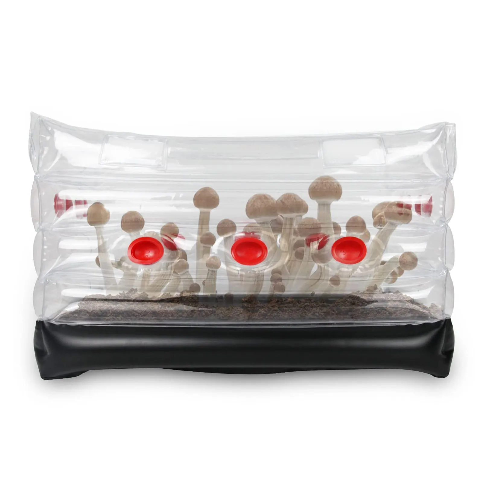 Mushroom Monotub Kit Home Inflatable Mushroom Grow Kit Save Your Mushroom Grow Bags Easy Storage Large Square