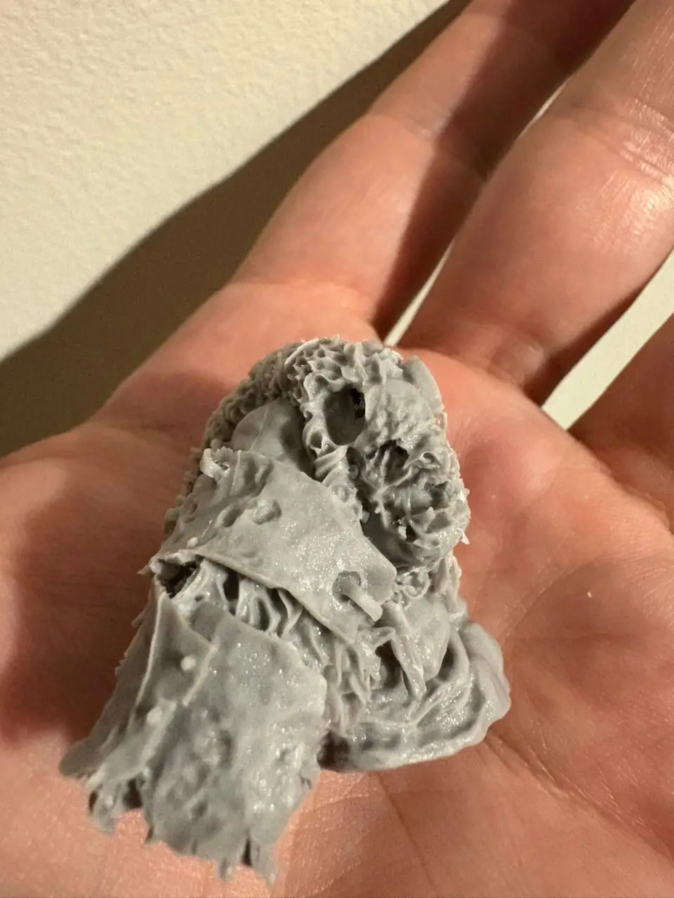 Buyer photo of this resin kit