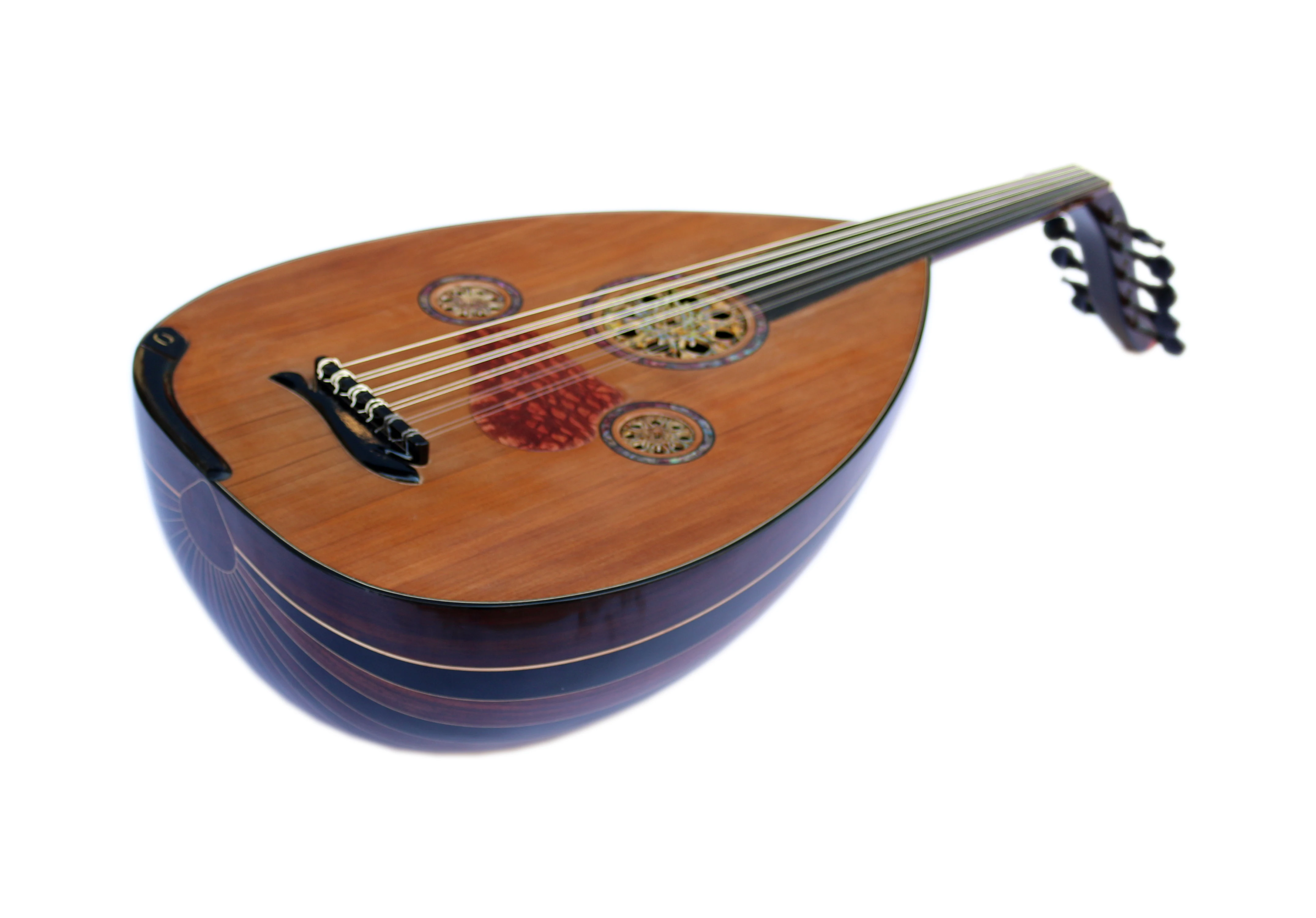 Special Ebony Rosewood Arabic Oud Instrument CM-5 | Special Oud String Musical Instrument