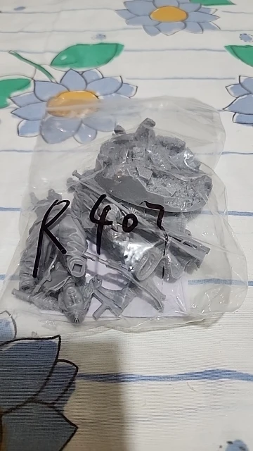 Buyer photo of this resin kit