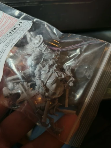 Buyer photo of this resin kit