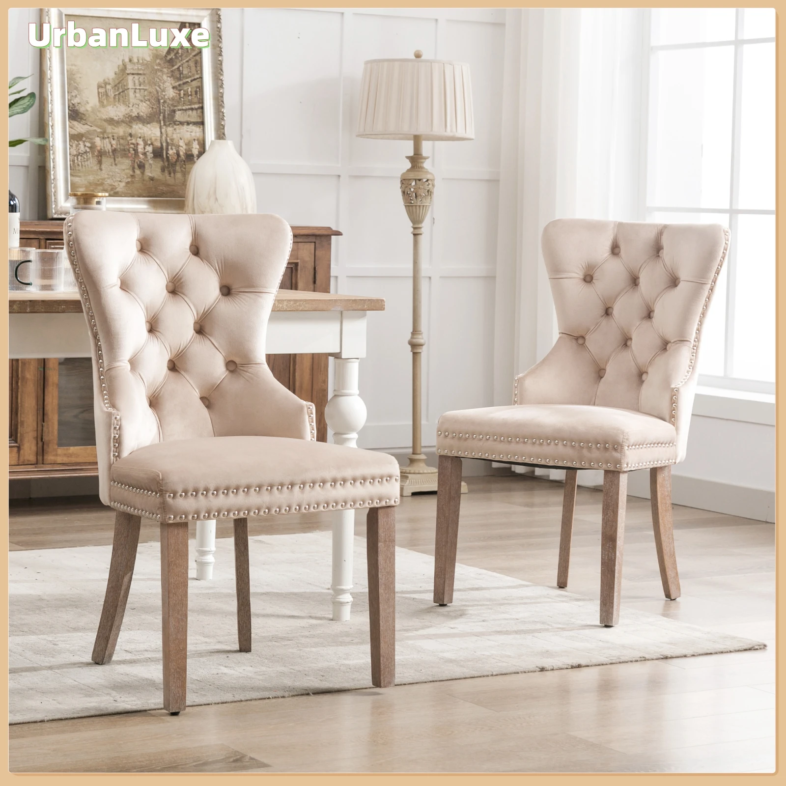 UrbanLuxe Chaise de salle à manger, lot de 2, avec garniture cloutée, pieds en bois massif, chaise de cuisine, chaise de salon, tabouret de bar, velours, beige