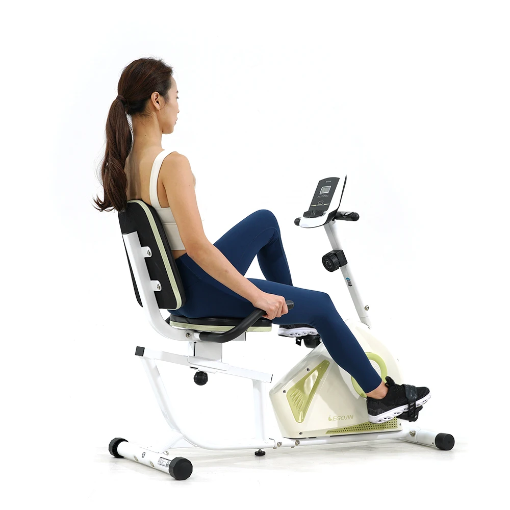 Egojin-دراجة داخلية مستقرة ، 266r