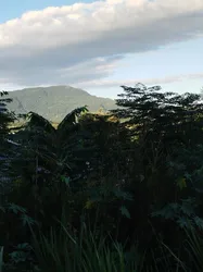 Imagen de reseña 4