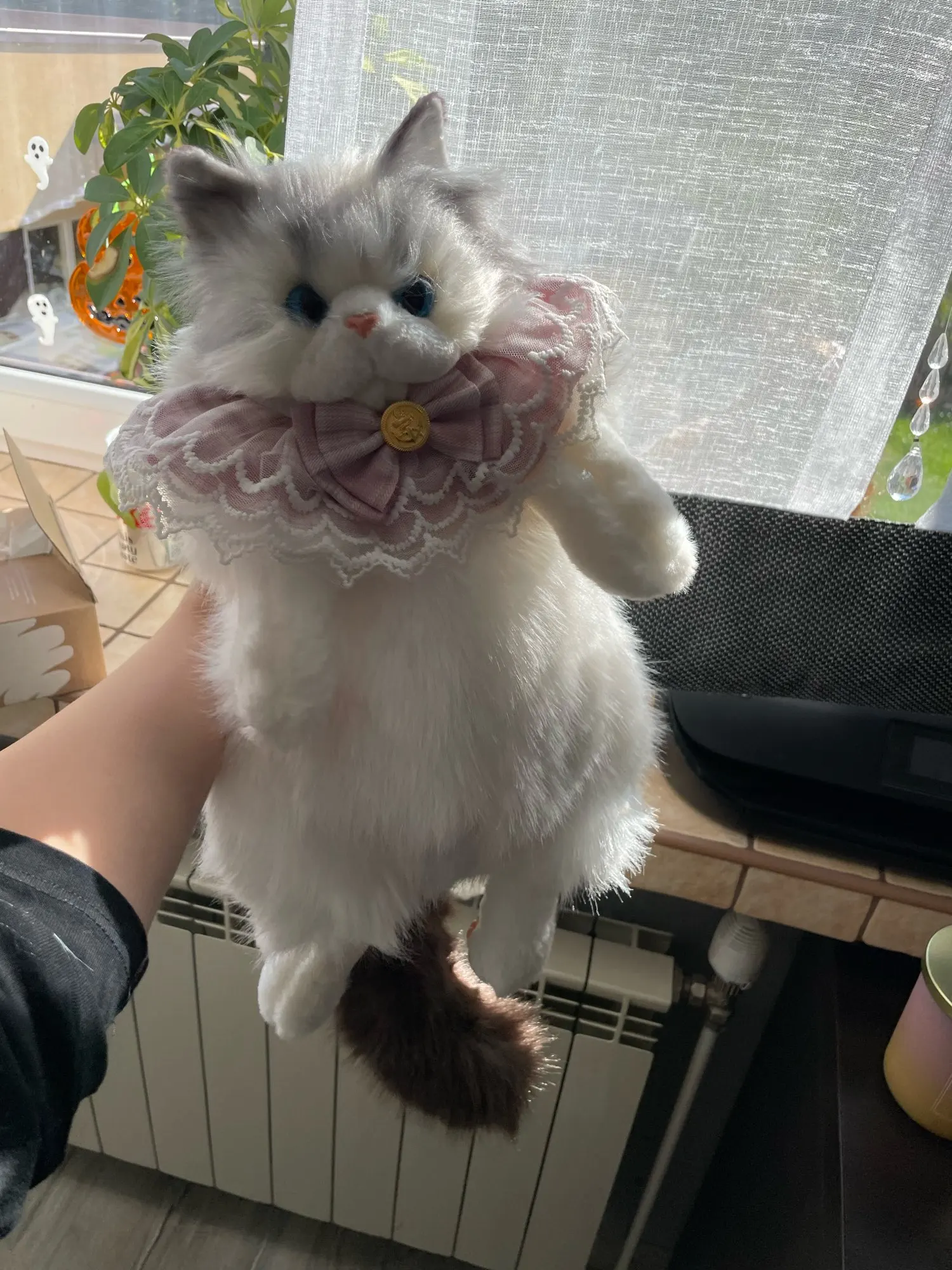 리뷰 사진