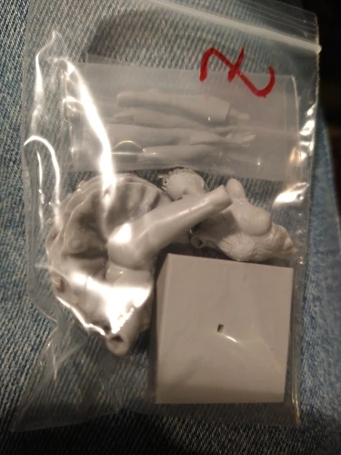 Buyer photo of this resin kit