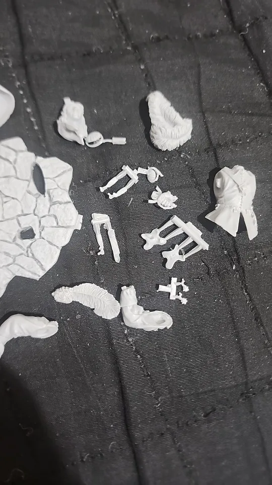 Buyer photo of this resin kit