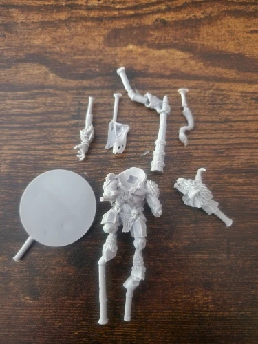 Buyer photo of this resin kit
