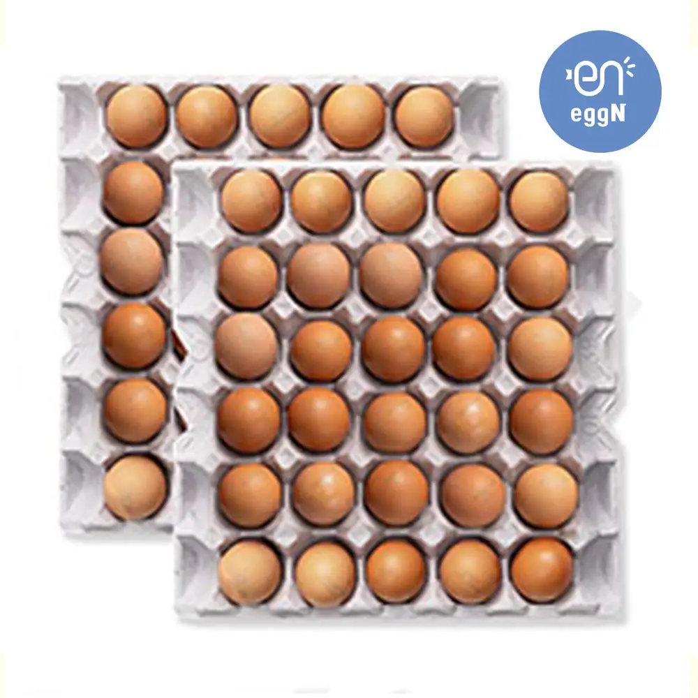 Huevos de alta calidad con sabor dulce y textura suave 60 piezas de huevos Macrock Blast premium