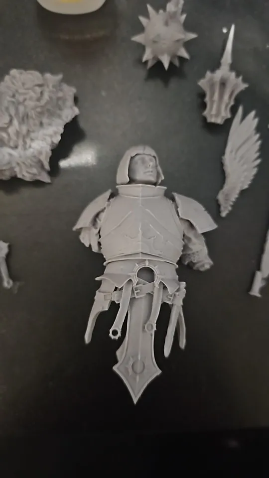 Buyer photo of this resin kit