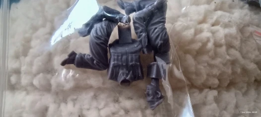Buyer photo of this resin kit