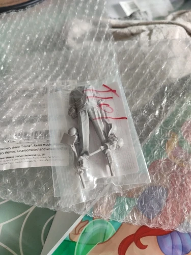 Buyer photo of this resin kit