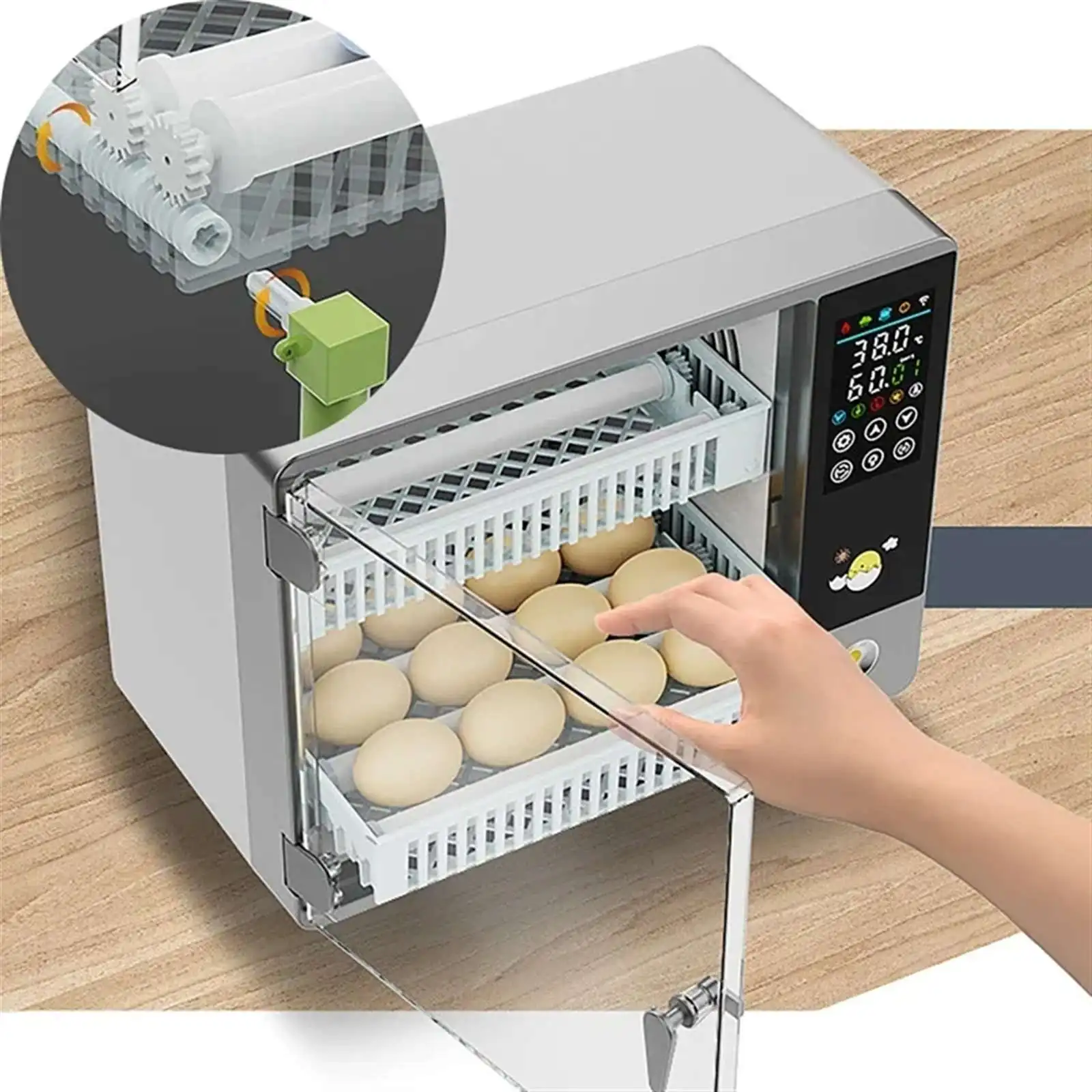 Incubateur entièrement automatique 24 œufs avec contrôle de température tactile, machine d'éclosion pour ferme, couveuse pour poulets, canards, cailles et oiseaux