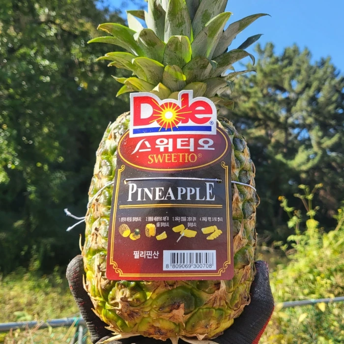 [마이달당] Dole 파인애플 3수 3.6~4.2kg 내외 