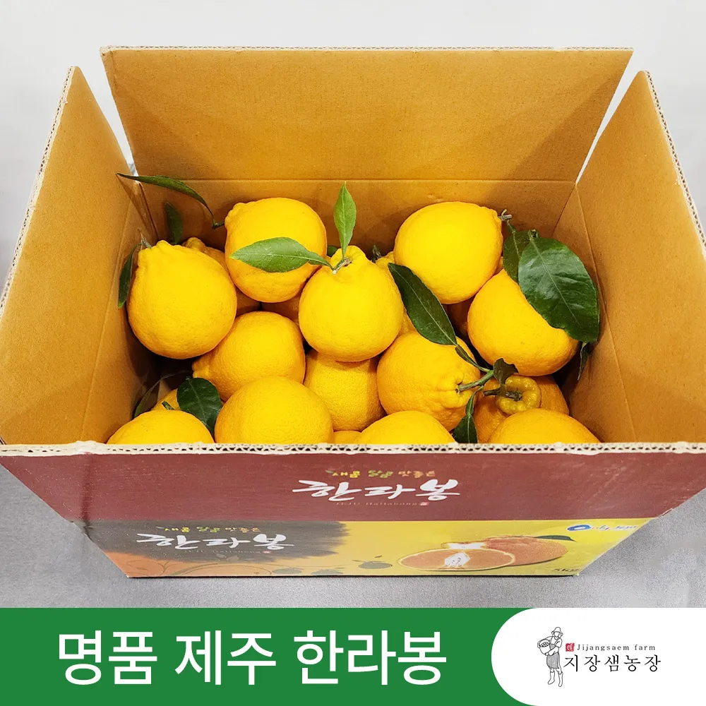 [지장샘농장] 당도보장 제주 한라봉 1.5kg 2.5kg 4.5kg