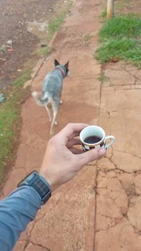 리뷰 사진
