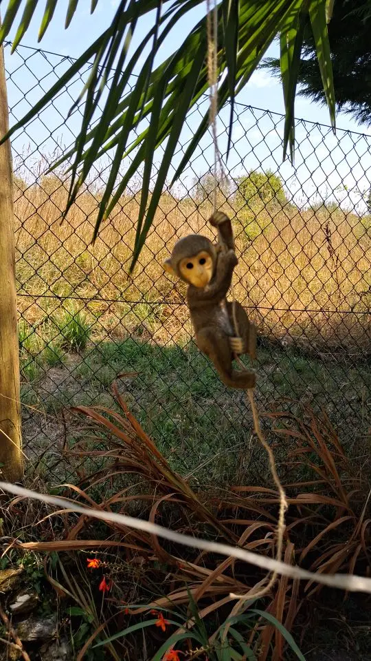 Cute Garden Climbing Monkey Figurine Handmade Resin Crafts Monkey Hanging Ornament Weatherproof Animal Statue Patio Balcony photo review