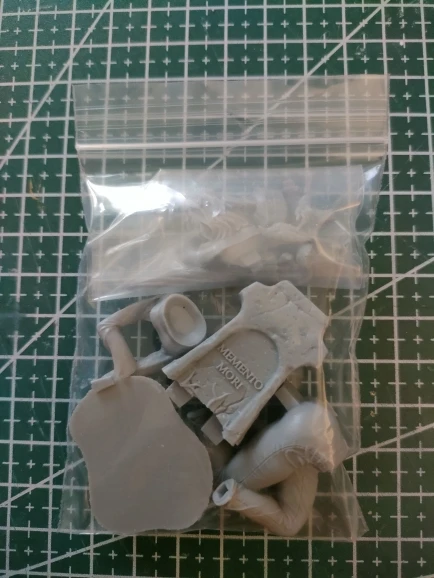 Buyer photo of this resin kit