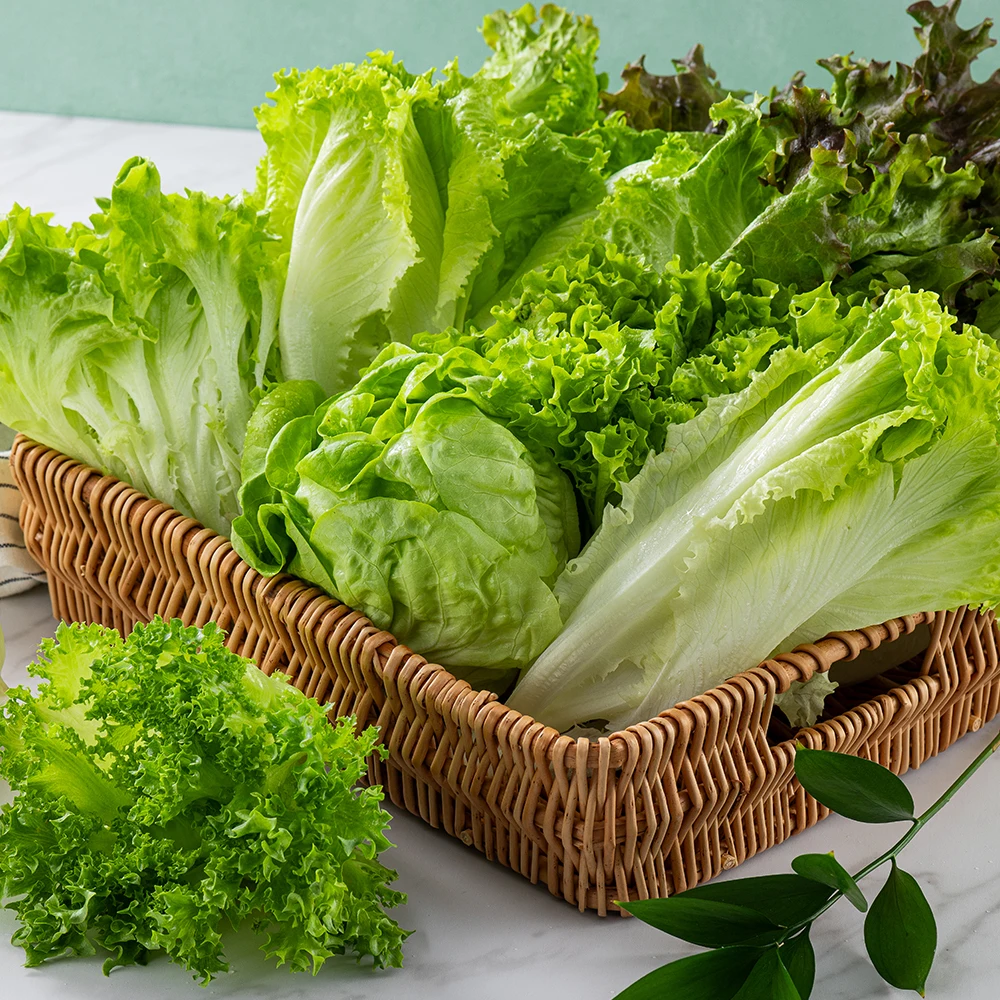 [معتمد على الفجوة] سلطة أوروبية 1 كجم (4 أنواع)