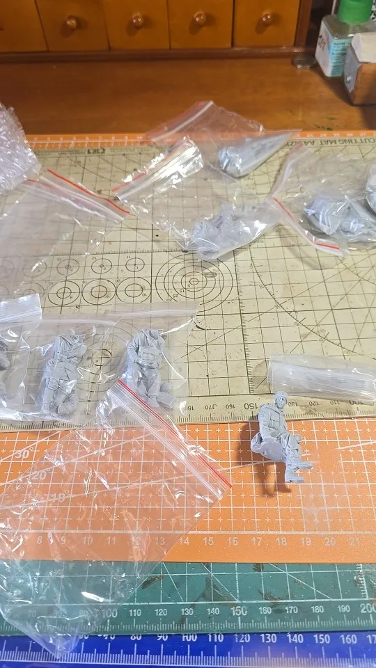 Buyer photo of this resin kit