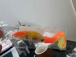 Imagen de reseña 2