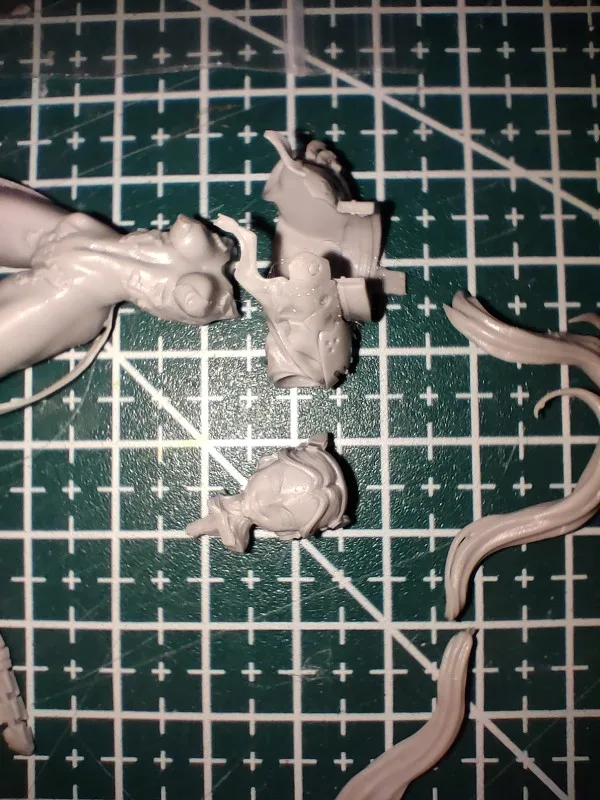 Buyer photo of this resin kit