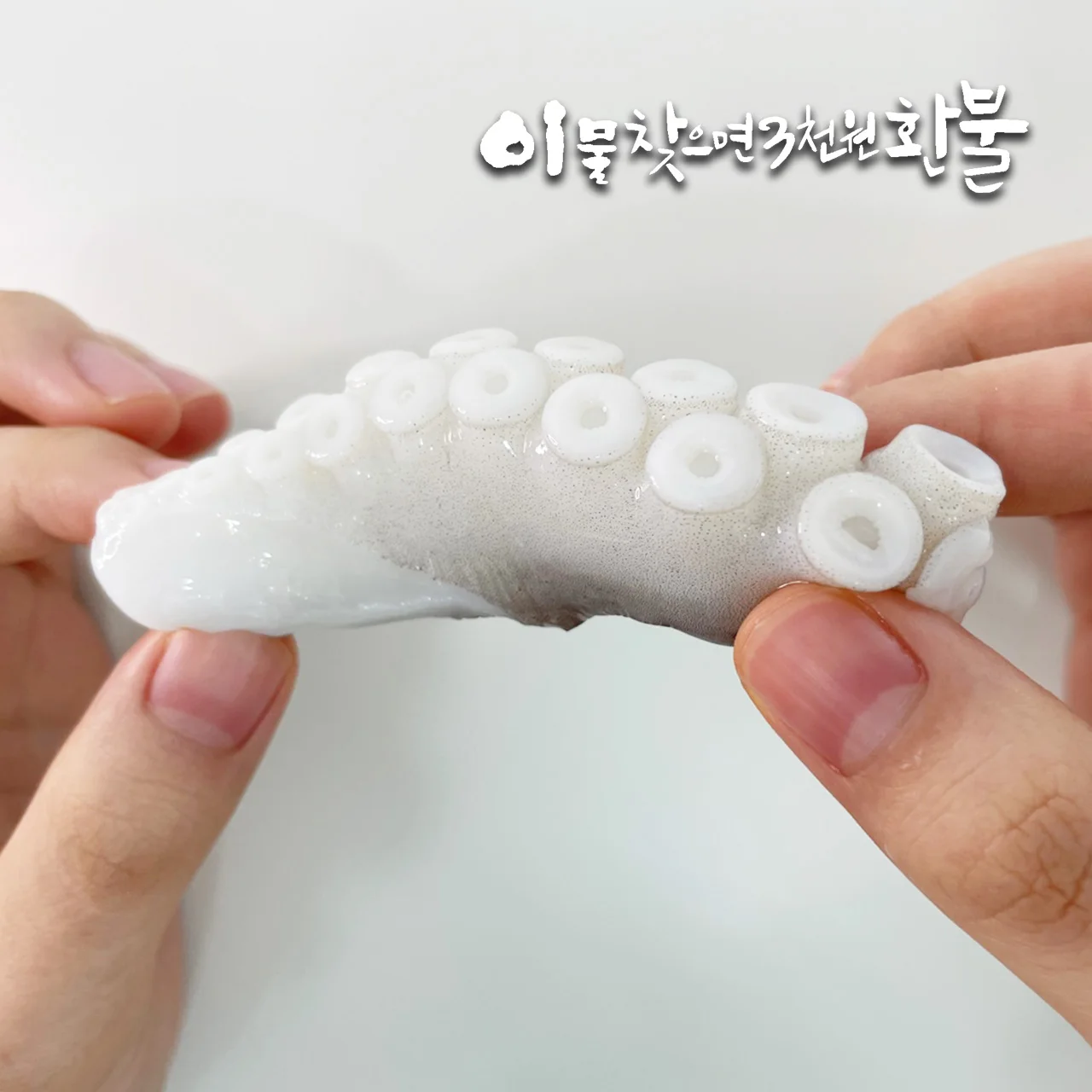 손질 왕특대(XXL) 낙지 900g(450g×2팩)｜낙지볶음(자갈치비법소스2봉) - 1