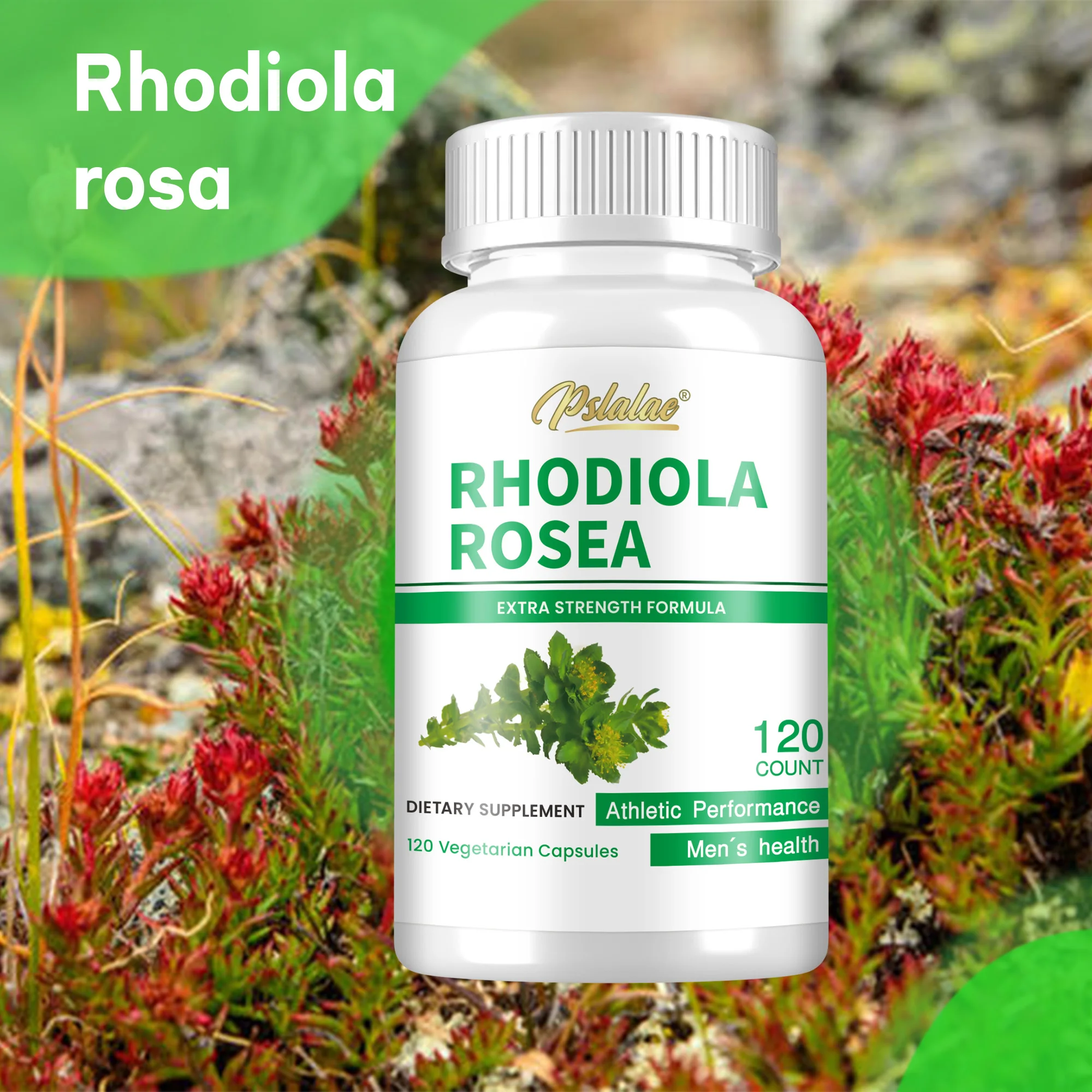 Rhodiola Rosea-promueve el alivio del estrés, estado de ánimo Natural y soporte de concentración, impulso de energía-120 cápsulas