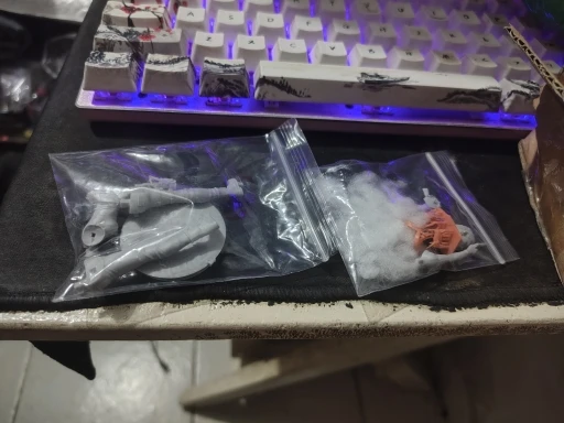 Buyer photo of this resin kit
