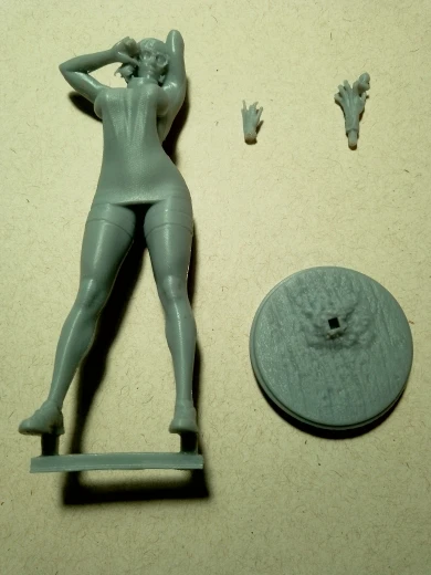 Buyer photo of this resin kit