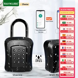 RAYKUBE IP65 Su Geçirmez Metal Akıllı Duvara Montaj Tuş Kilidi Kutusu Güvenlik Kilidi Tuya/TT Kilidi APP/Şifre Kilidini Anahtar Güvenli