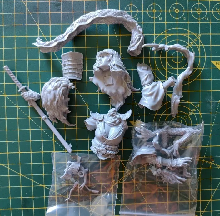 Buyer photo of this resin kit