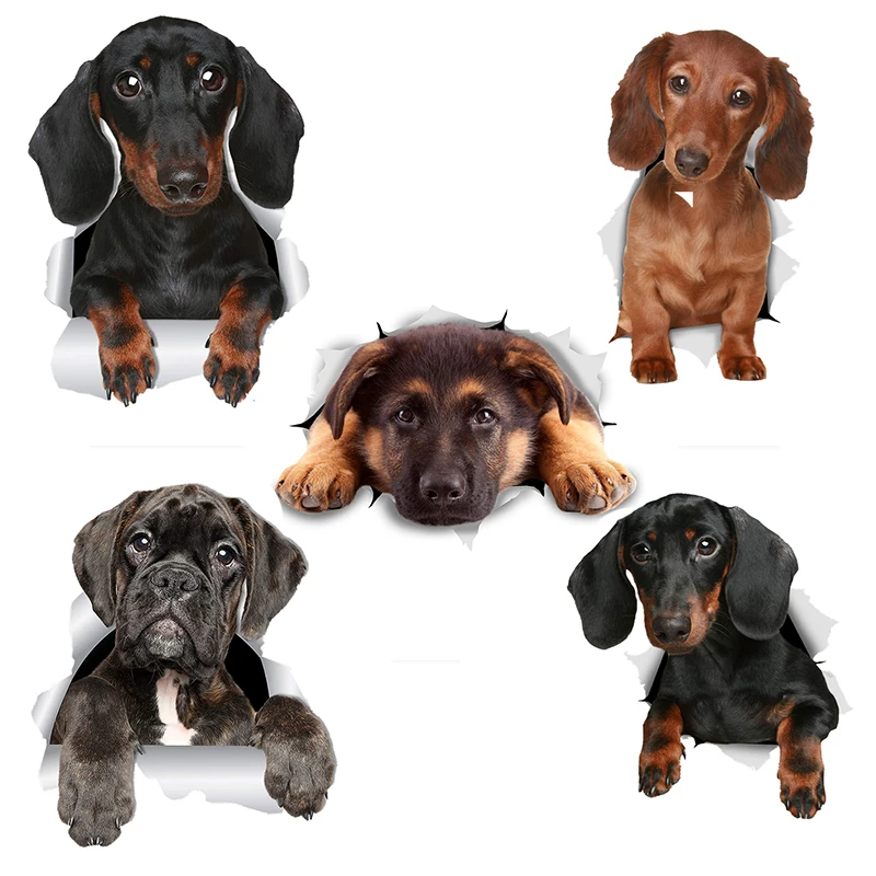 Three Ratels 1070 3D  Long Haired Dachshund SauWall Stickers For Kids Baby Girls Rooms Nursery Home Decor Vinyl  Wall Decals Diy