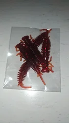 Imagen de reseña 1