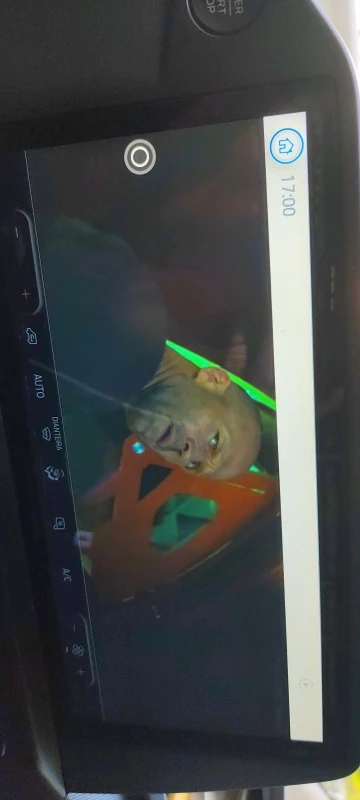 실물 포토 리뷰