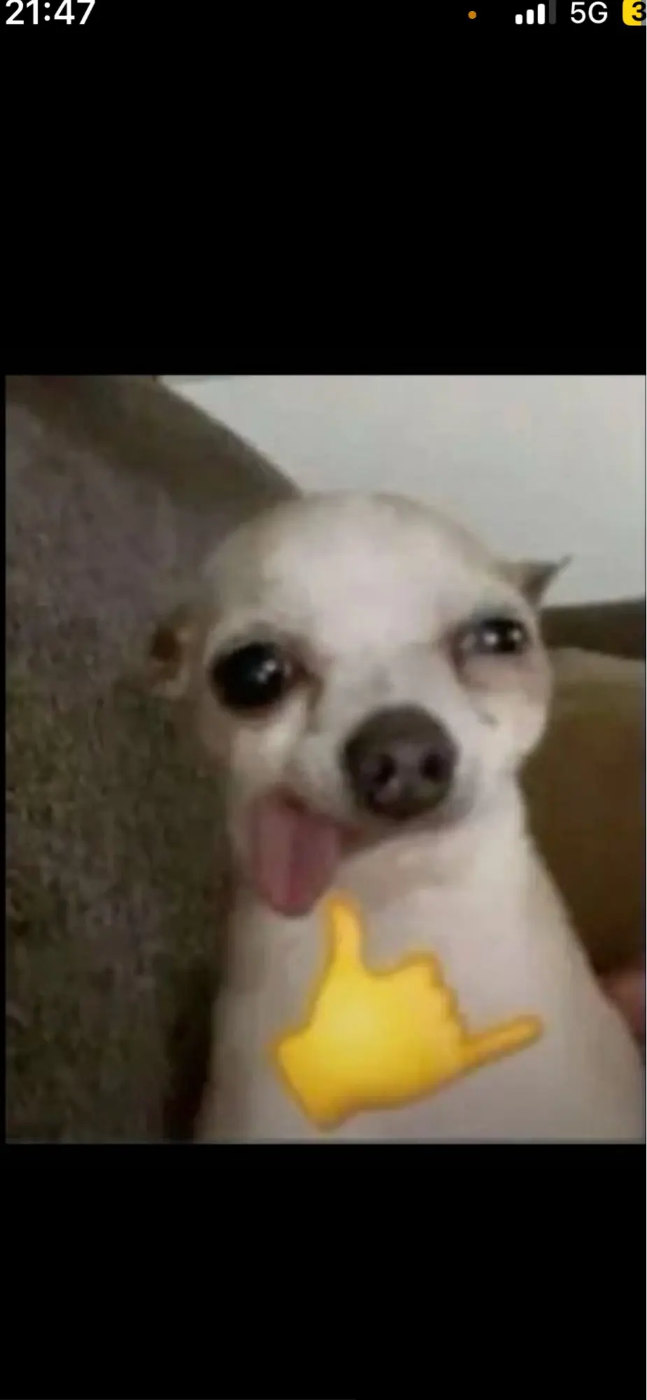 리뷰 사진