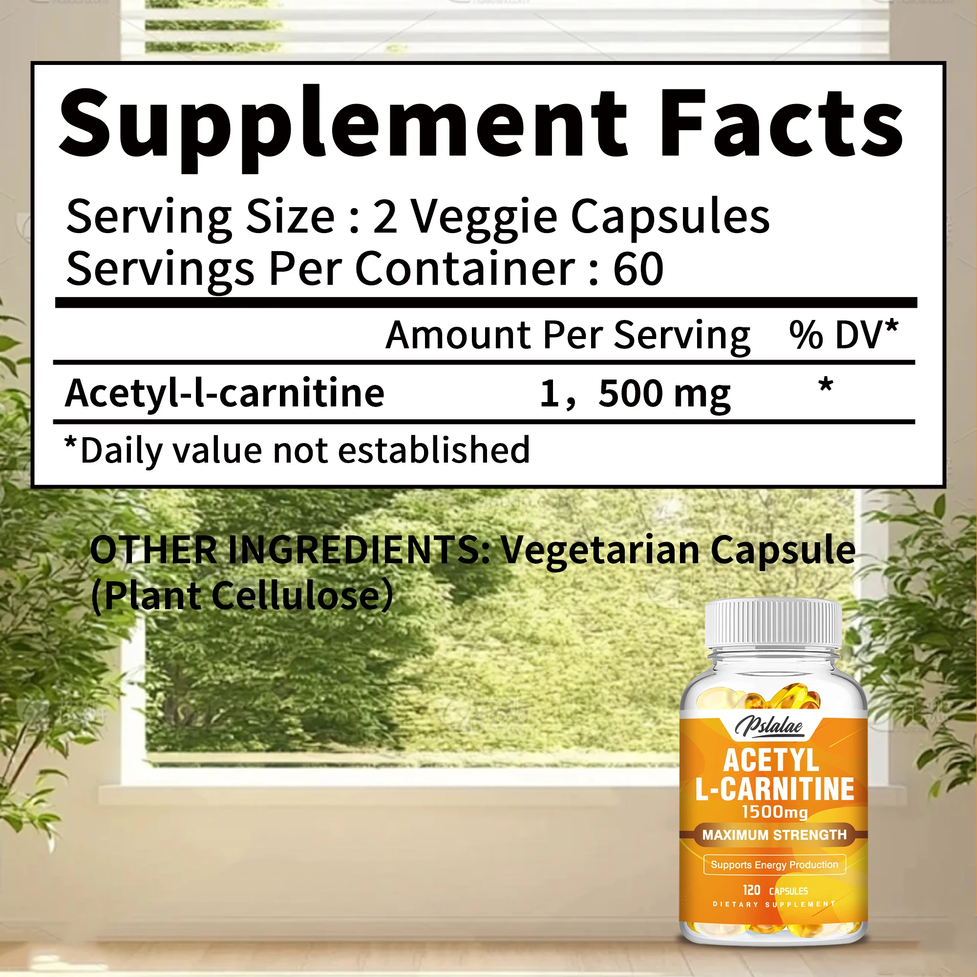 Acetyl L-Carnitine 1,500 Mg - Supports Natural Energy Production, Sports Nutrition, Supports Memory and Focus - 120 Capsules