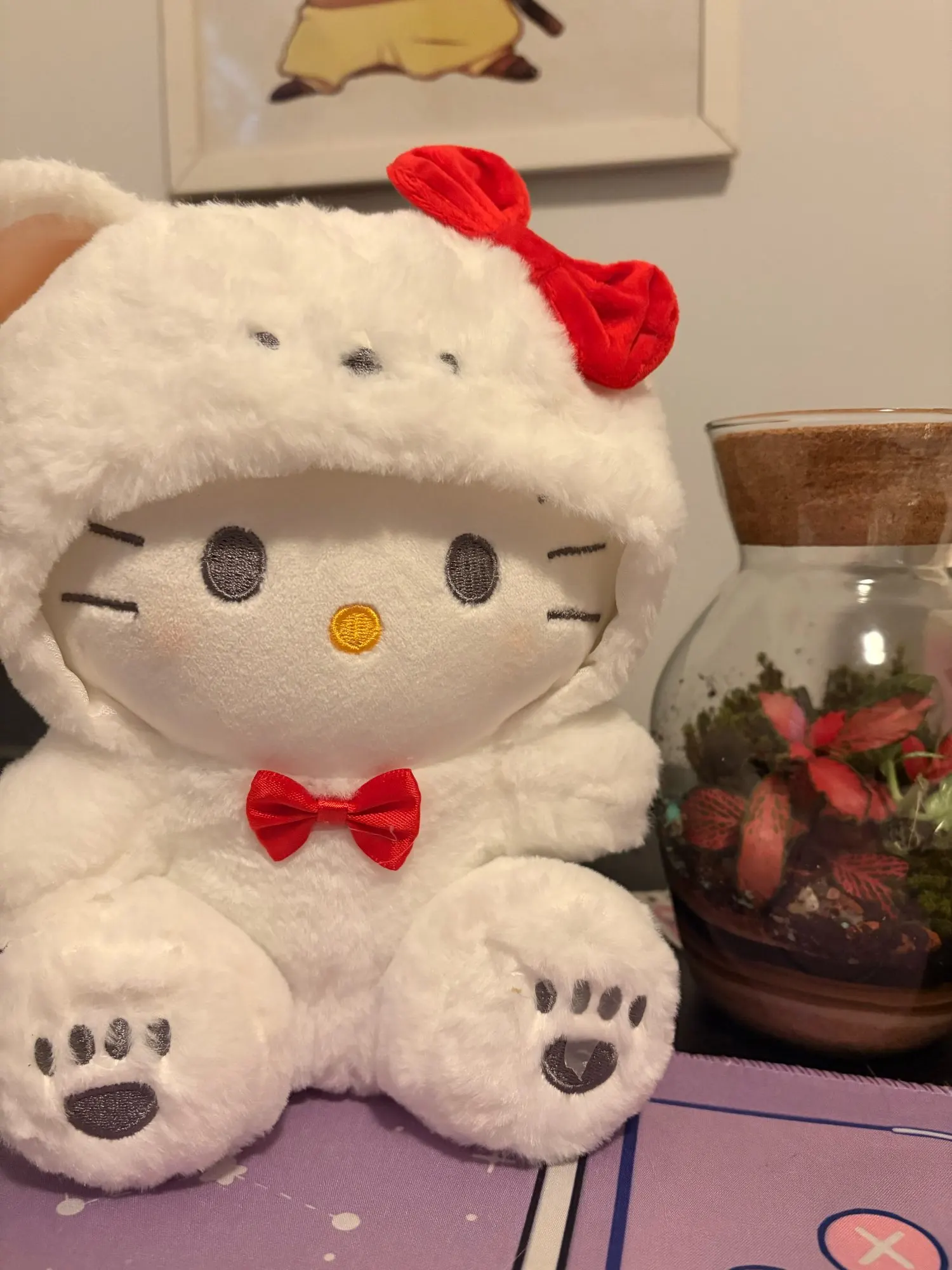 실물 포토 리뷰