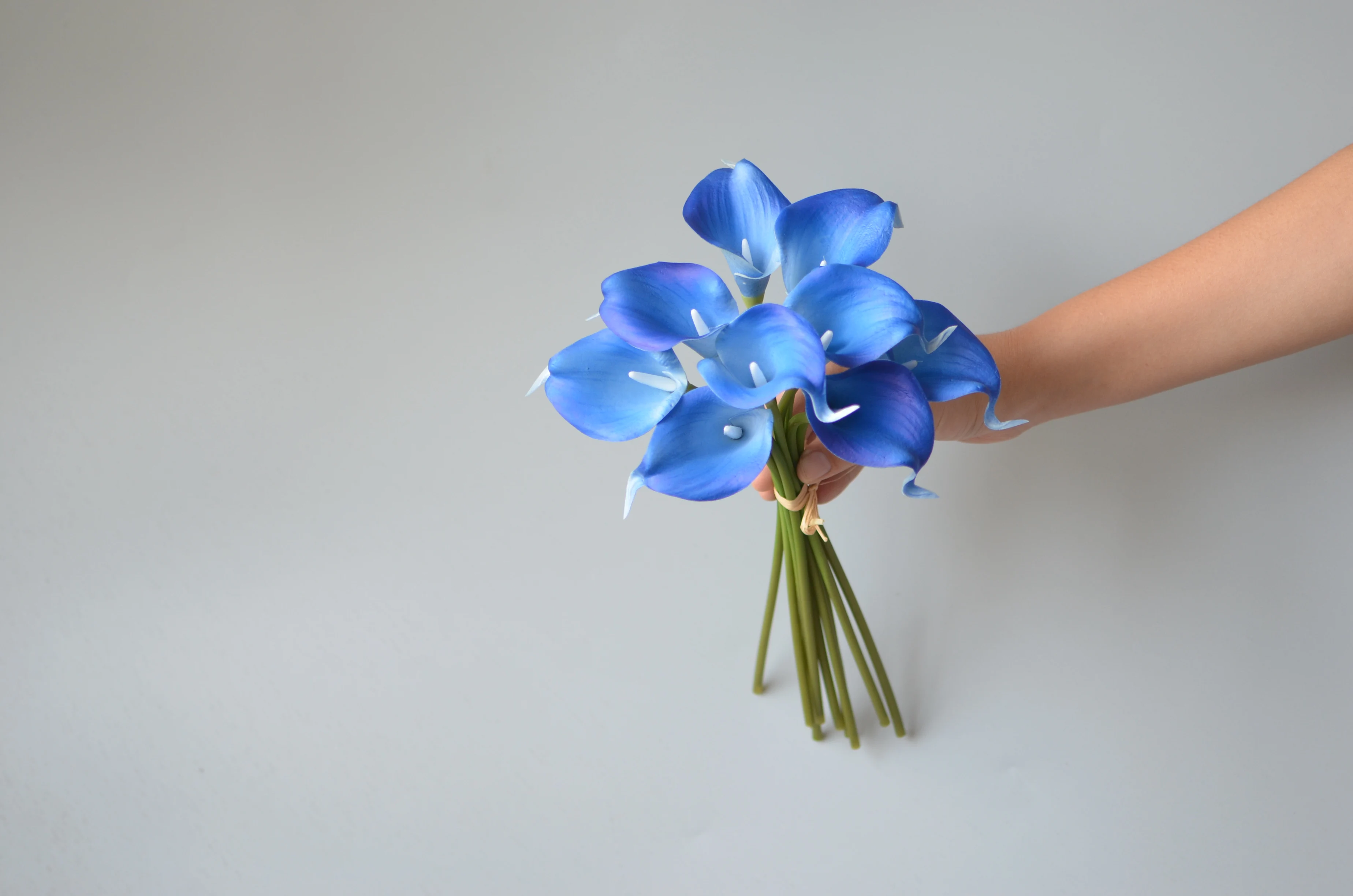 9 Royal Blue Calla Lily, Real Touch Calla Lily, Picasso Royal Blue Calla Lily, DIY Calla Lily Bouquet, DIY Wedding Flowers