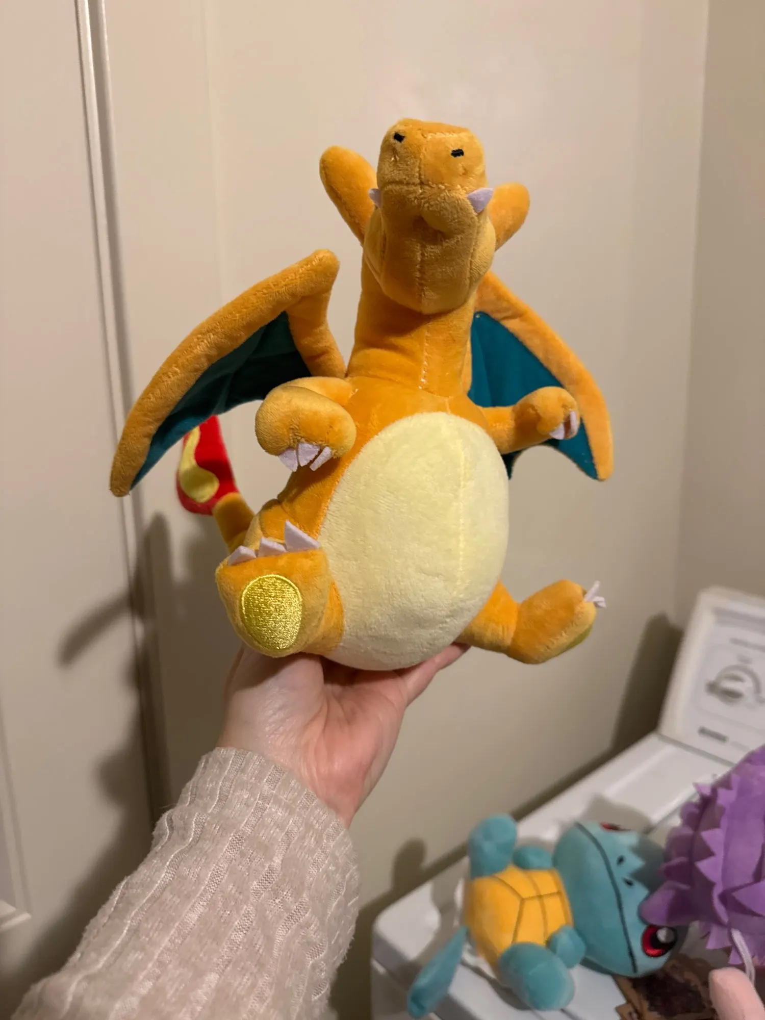 Customer review photo