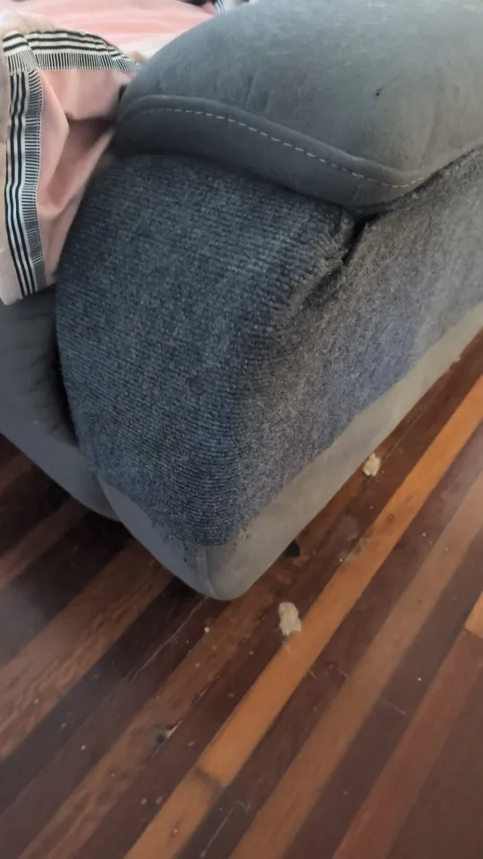 Customer review photo