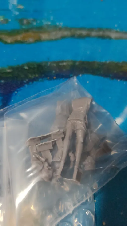 Buyer photo of this resin kit