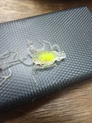 Imagen de reseña 2