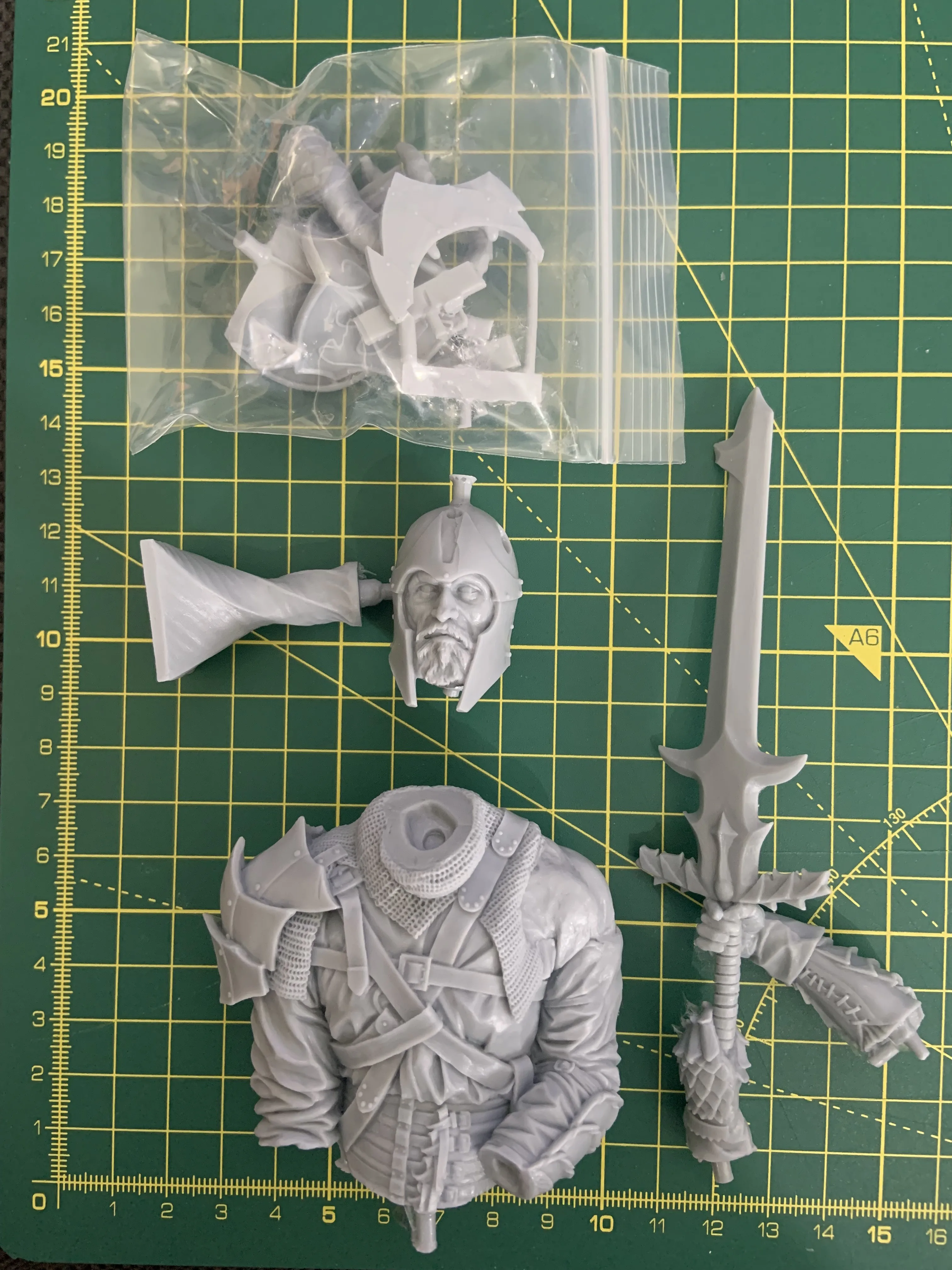 Buyer photo of this resin kit
