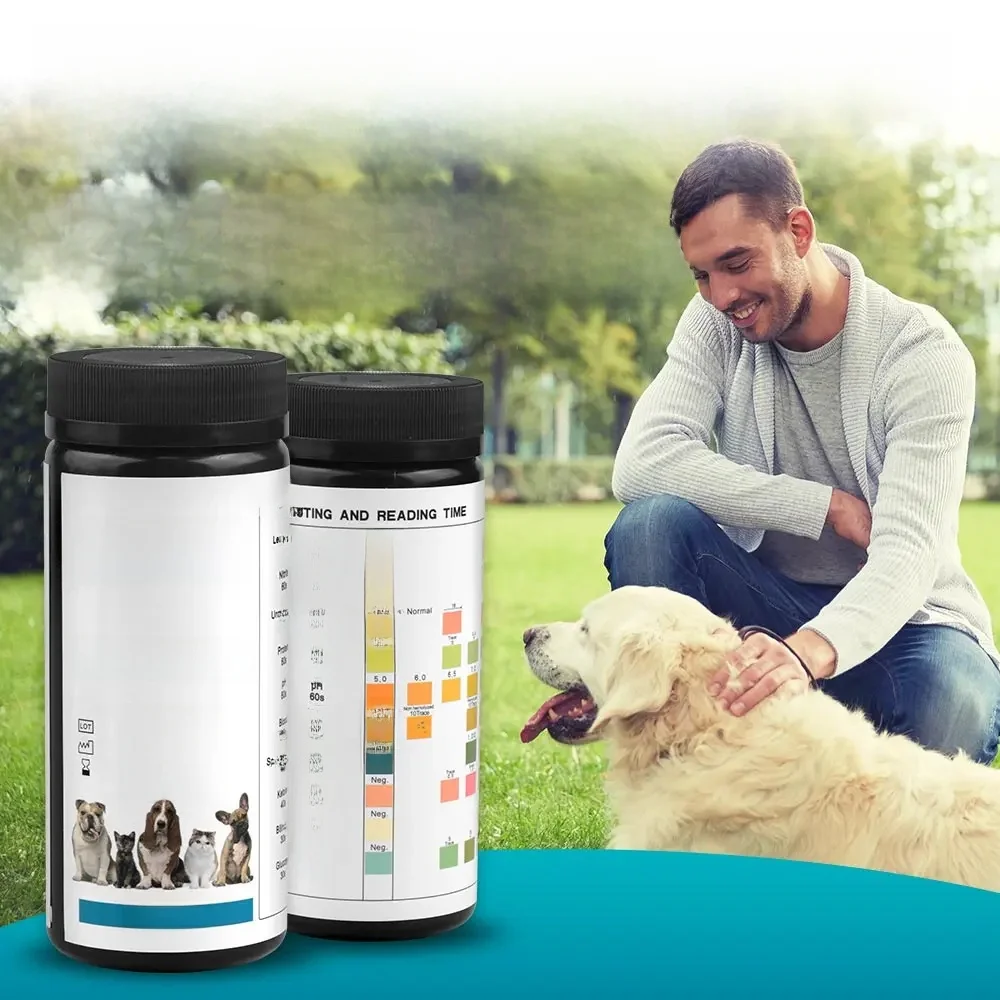 Bandelettes de test d'urine pour animaux de compagnie, 100 tests de paramètres d'analyse d'urine pour chiens, chats, vétérinaires, test précis pour les vétérinaires, détecte le pH UTI