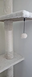 Imagen de reseña 3