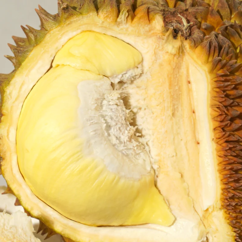 두리안 태국 생 두리안 항공직송 열대과일